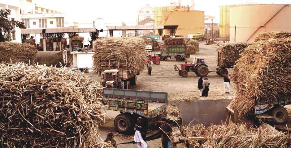 D&SJs asked to report to high court if Sharifs’ sugar mills defy SC ...